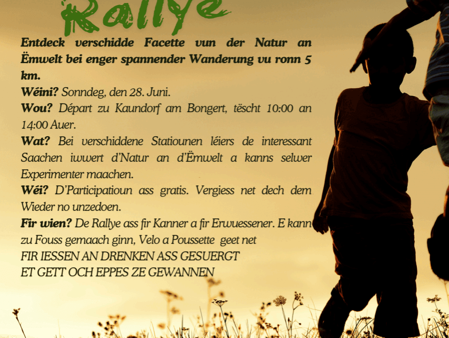 2. NaTour Rallye – 28.06.2026