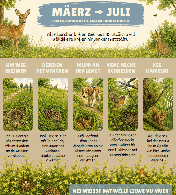Eis Déierewelt schützen!
