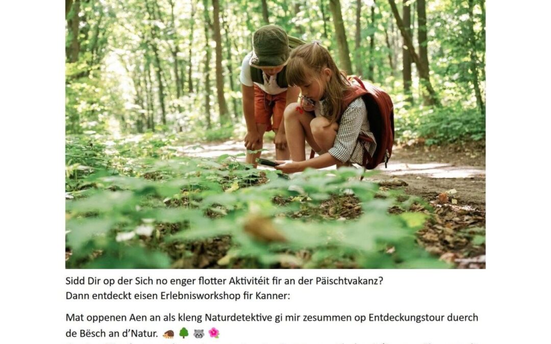 Club Uewersauer – Summerprogramm