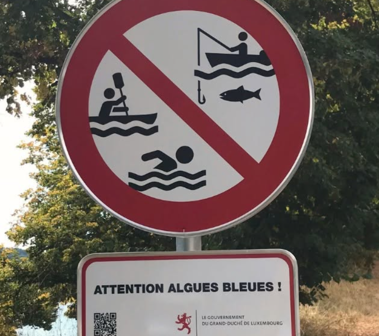 Ass d’Bueden aktuell erlaabt?
