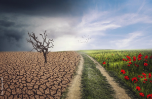 Fake News & Klimawandel – Wéi bleiwe mir kritesch?