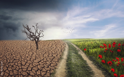 Fake News & Klimawandel – Wéi bleiwe mir kritesch?